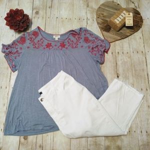 Blue embroidered top